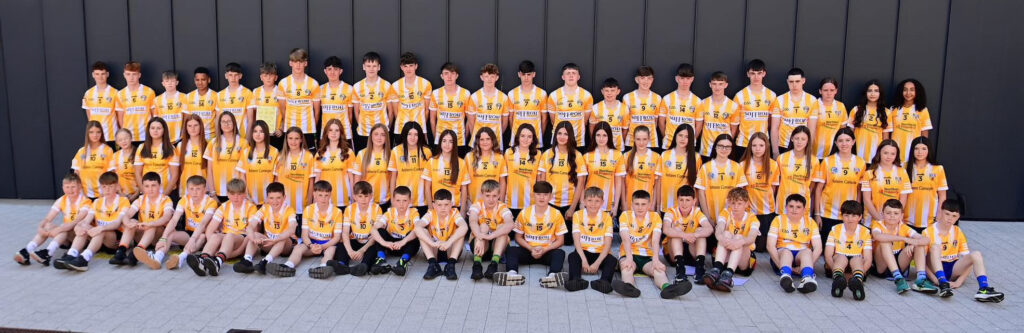 Antrim junior team